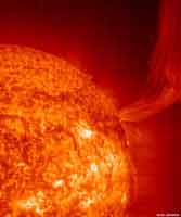SOHO Ultraviolet Image of the Sun